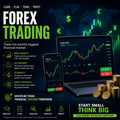 Forex Trading Course